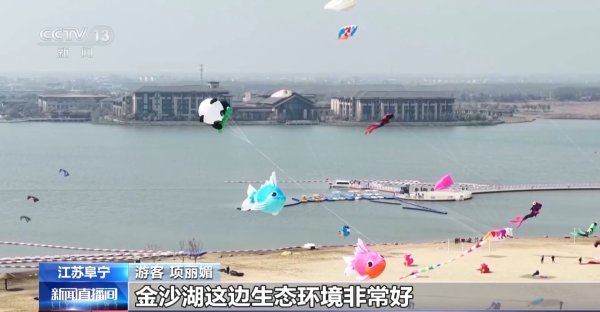 视频丨放风筝、观海鸥……清明踏青尽享春日勃勃生机