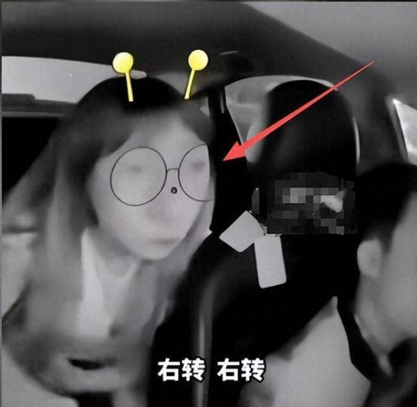 全程无人劝阻！网约车女子蛮横抢方向盘，闺蜜反应惹众怒