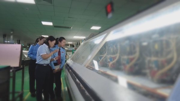 2025年广东A级纳税人数量近百万，同比增长115.80%