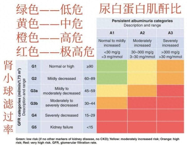 肾小球滤过率从90降到60意味着什么? 或是肾脏健康的“分水岭”