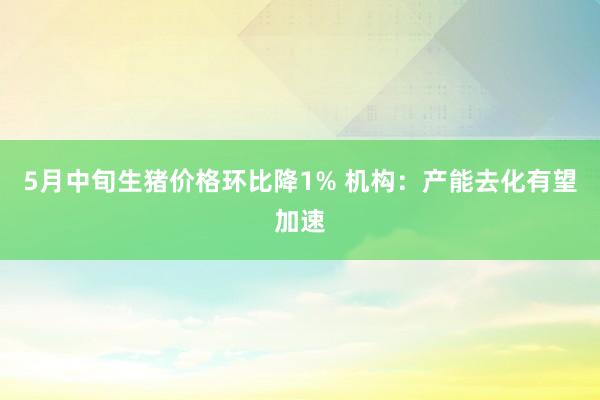 5月中旬生猪价格环比降1% 机构：产能去化有望加速