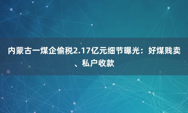 内蒙古一煤企偷税2.17亿元细节曝光：好煤贱卖、私户收款