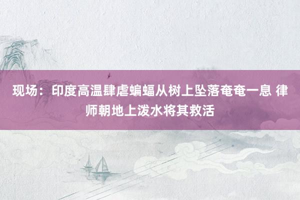 现场：印度高温肆虐蝙蝠从树上坠落奄奄一息 律师朝地上泼水将其救活