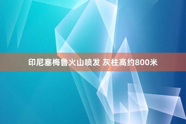 印尼塞梅鲁火山喷发 灰柱高约800米