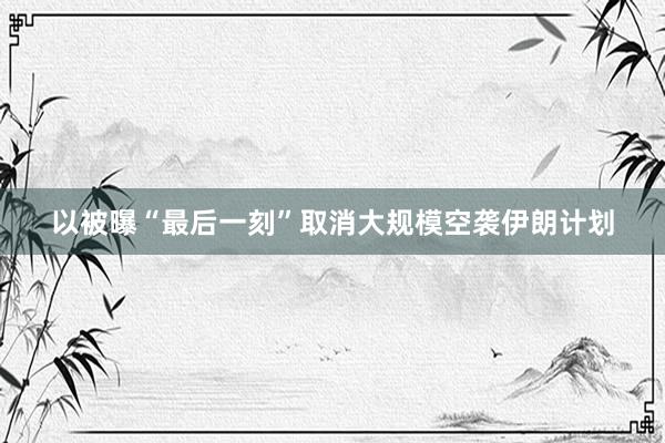 以被曝“最后一刻”取消大规模空袭伊朗计划