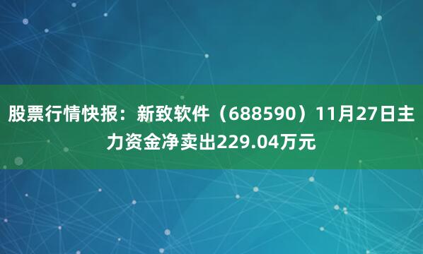股票行情快报：新致软件（688590）11月27日主力资金净卖出229.04万元