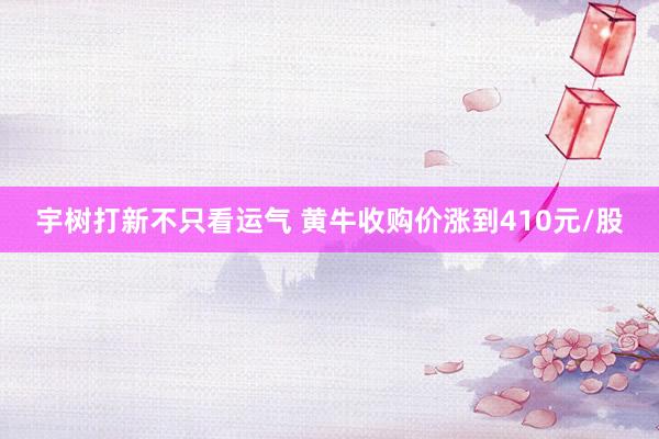 宇树打新不只看运气 黄牛收购价涨到410元/股
