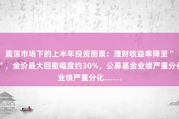 震荡市场下的上半年投资图景：理财收益率降至“2字头”，金价最大回撤幅度约30%，公募基金业绩严重分化……