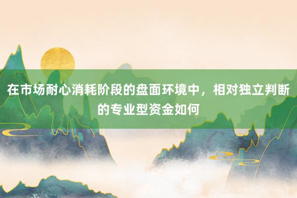 在市场耐心消耗阶段的盘面环境中，相对独立判断的专业型资金如何