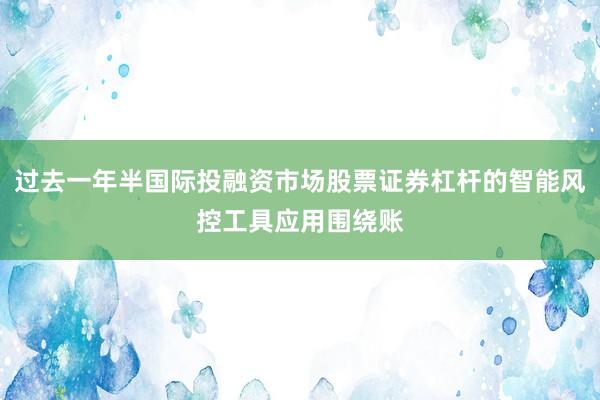 过去一年半国际投融资市场股票证券杠杆的智能风控工具应用围绕账