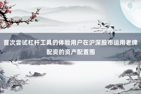 首次尝试杠杆工具的体验用户在沪深股市运用老牌配资的资产配置围