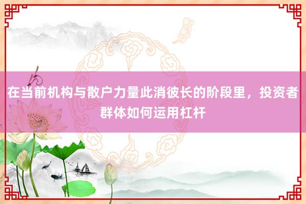 在当前机构与散户力量此消彼长的阶段里，投资者群体如何运用杠杆