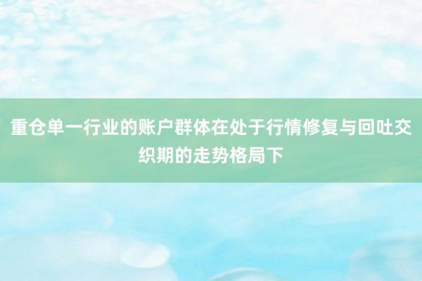 重仓单一行业的账户群体在处于行情修复与回吐交织期的走势格局下