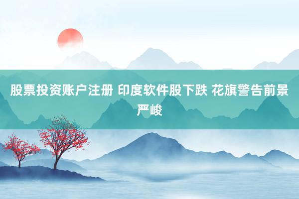 股票投资账户注册 印度软件股下跌 花旗警告前景严峻