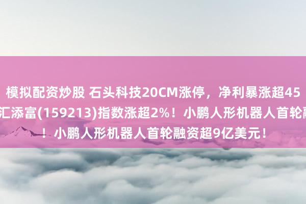 模拟配资炒股 石头科技20CM涨停，净利暴涨超45%！机器人ETF汇添富(159213)指数涨超2%！小鹏人形机器人首轮融资超9亿美元！