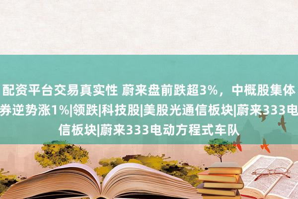 配资平台交易真实性 蔚来盘前跌超3%，中概股集体走低，老虎证券逆势涨1%|领跌|科技股|美股光通信板块|蔚来333电动方程式车队