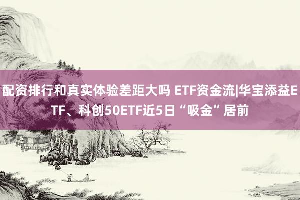 配资排行和真实体验差距大吗 ETF资金流|华宝添益ETF、科创50ETF近5日“吸金”居前