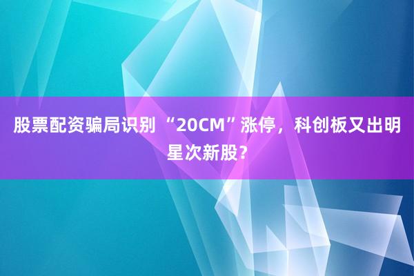 股票配资骗局识别 “20CM”涨停，科创板又出明星次新股？