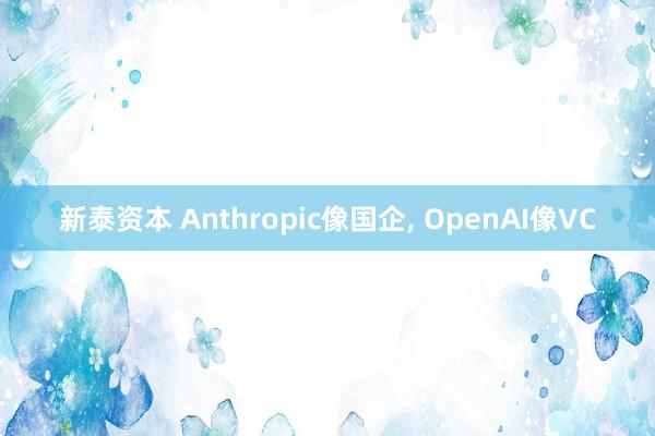 新泰资本 Anthropic像国企, OpenAI像VC