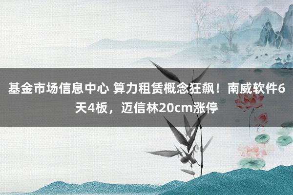 基金市场信息中心 算力租赁概念狂飙！南威软件6天4板，迈信林20cm涨停
