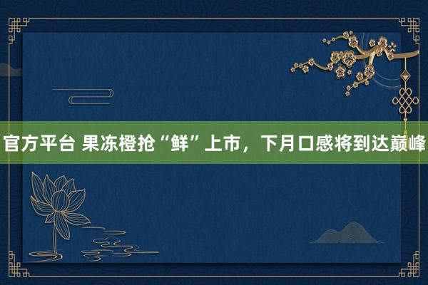 官方平台 果冻橙抢“鲜”上市，下月口感将到达巅峰